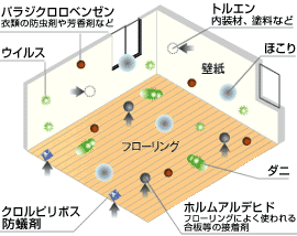 エコカラット
